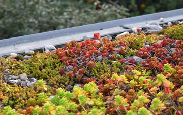 the cost of Thorpe Lea green roof installation