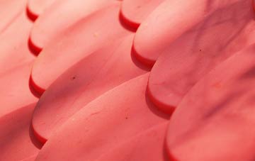 Thorpe Lea plastic roof costs