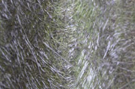 Thorpe Lea fibreglass roof work